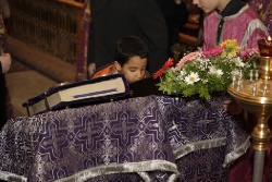 _MG_4870 - �����